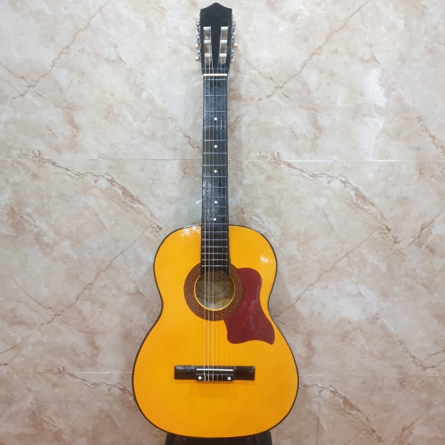 Đàn Guitar Classic C70L