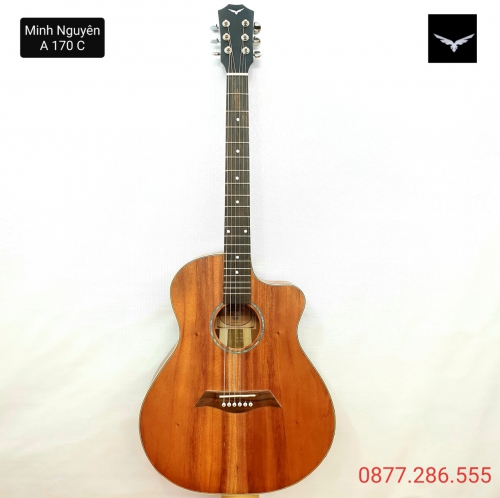 Guitar Aoustic Minh Nguyên A170C